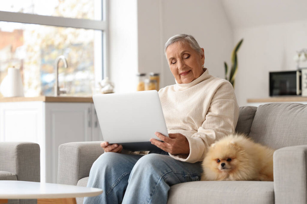 Senior woman with laptop and Pomeranian dog on sofa at home - Foto, imagen