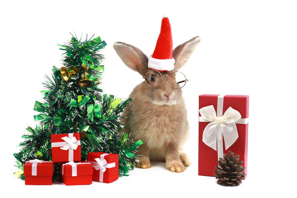 Nettes flauschiges braunes Kaninchen trägt Weihnachtsmütze mit geschmücktem Weihnachtsbaum, rote Geschenkbox auf weißem Hintergrund. Frohe Weihnachten und einen guten Rutsch ins neue Jahr mit Hasen-Haustier, Tier auf Winterurlaubsfeier - Foto, Bild