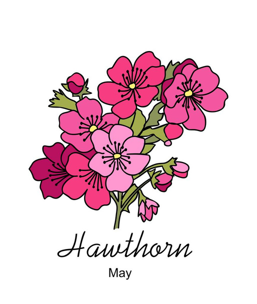 Hawthorn Nisan doğum ayı çiçeği, el çizimi, renkli taslak, simge, logo, dövme, duvar sanatı, damgalama, ambalaj için modern tasarım. Vektör illüstrasyonu beyaz arkaplanda izole edildi. - Vektör, Görsel