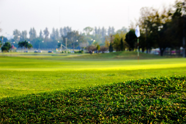 zelená, vyhlásila hrát golf - Fotografie, Obrázek