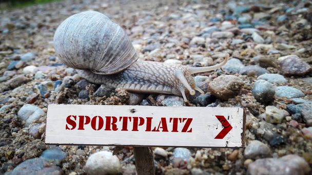 Un'immagine con un cartello in tedesco che indica la direzione del campo sportivo. - Foto, immagini