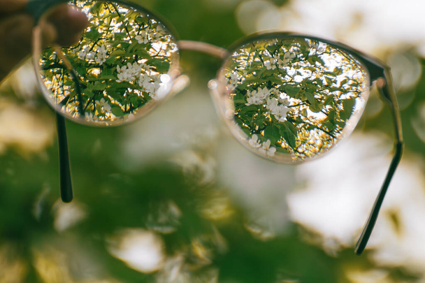 Дивлячись через міопію (шорсткість) окуляри на квітучому саду весняних дерев у фокусі з розмитим тлом. Близькі заломлювальні лінзи на відкритому повітрі в природі. - Фото, зображення