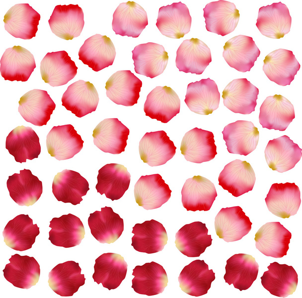 Pétales roses
 - Vecteur, image