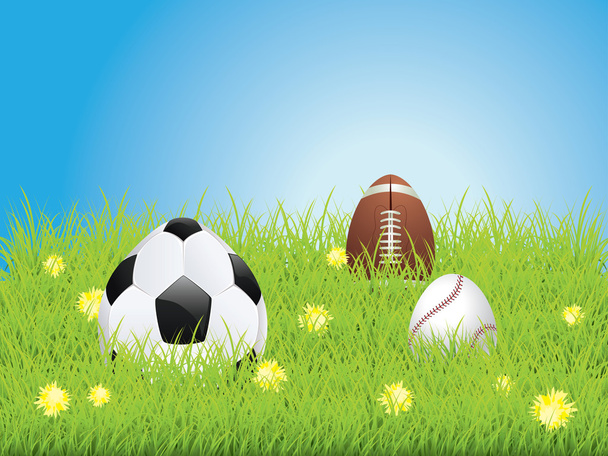 卵形のスポーツ ボール - ベクター画像