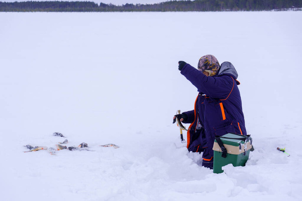 雪の中に魚を飼っている男. 冬の釣り,冒険。 バナー,コピースペース - 写真・画像