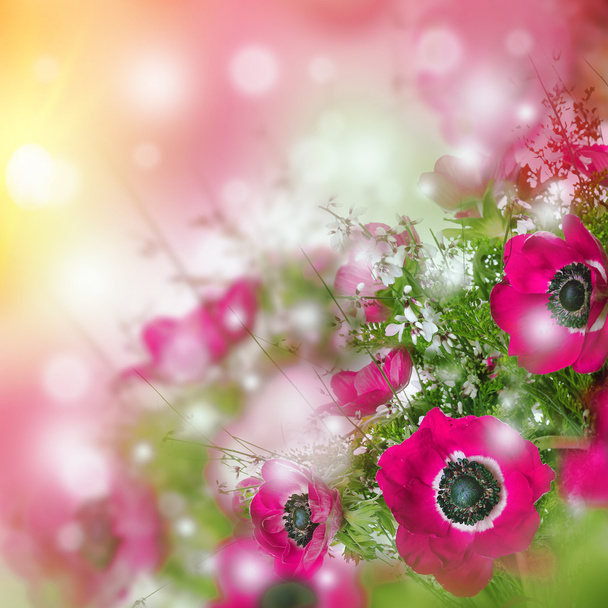 poppy flowers and foliage card - Photo, Image