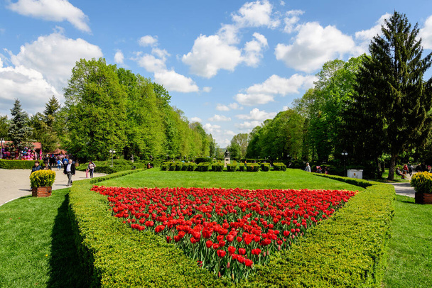 Targoviste, Romania, 1 maggio 2022: Paesaggio con alberi verdi vivaci ed erba nel Parco Chindia (Parcul Chindia) nel centro della città in una giornata di sole primaverile con nuvole bianche e cielo blu - Foto, immagini