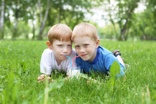 夏の屋外で 2 人の男の子の肖像画 - 写真・画像