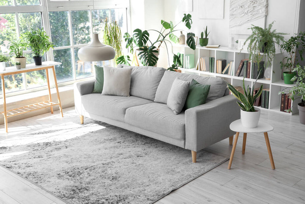 Интерьер светлой гостиной с удобным серым диваном и комнатными растениями - Фото, изображение