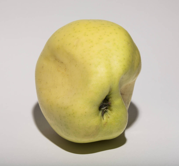 Уродливое яблоко мутанта. Плоды желтые на белом фоне. - Фото, изображение