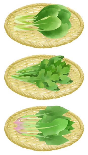 Conjunto de ilustraciones de espinacas, komatsuna y shungiku en un colador - Foto, imagen