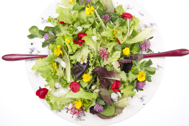 Салат из цветов
 - Фото, изображение