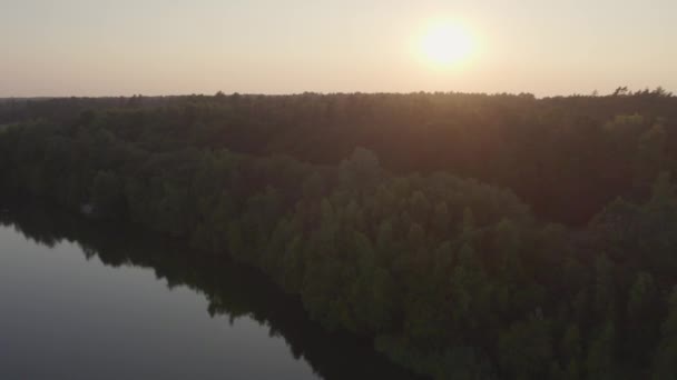 Mentre la giornata volge al termine, questo filmato cattura la tranquilla maestosità del tramonto su un lago delimitato dalla foresta. La quiete dell'acqua crea uno specchio perfetto, che riflette gli alberi densi e la - Filmati, video