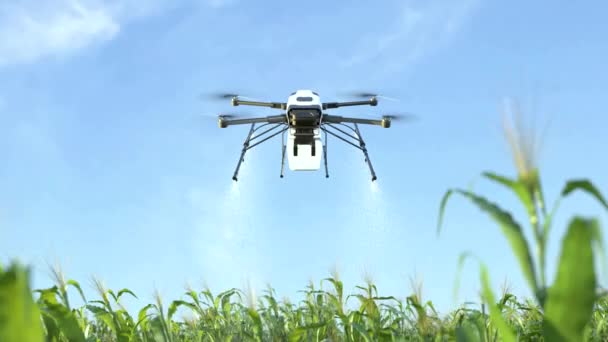 Sprejové hnojivo na kukuřičných polích, Inteligentní inovace v zemědělství, Zemědělská technika - Záběry, video