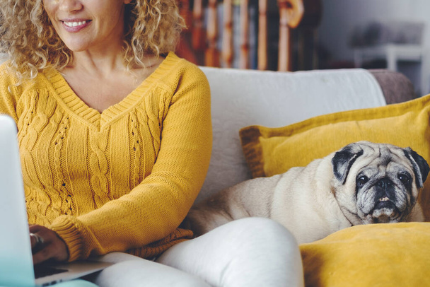 幸せな女性は笑顔でラップトップに書き込み,親友の犬が彼女の側に横たわり,どちらも自宅のソファーに座っています. コンピュータでウェブ上で検索する子犬の所有者. 屋内レジャーアクティビティを一緒に - 写真・画像