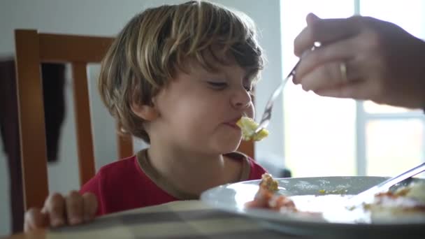 Voeren van roerei aan kleine jongen tijdens de lunch of het ontbijt, close-up van het kind wordt gevoed voedsel door ouders tijdens de familie lifestyle scene - Video