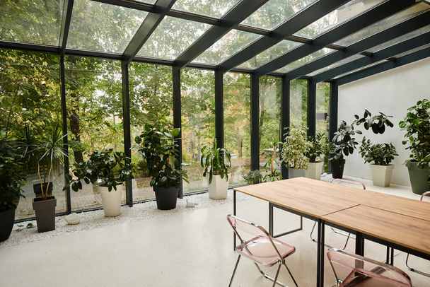 interiérové foto současné minimalistické zasedací místnosti se stoly a zelenými rostlinami v květináčích - Fotografie, Obrázek