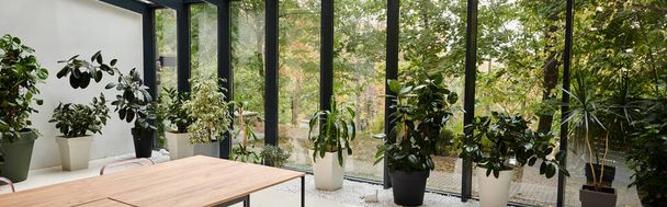 interiérové foto moderní minimalistické zasedací místnosti se stoly a zelenými rostlinami v květináčích, banner - Fotografie, Obrázek