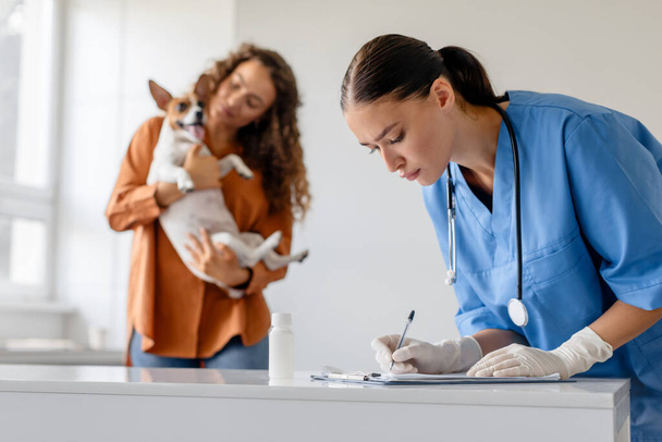 Enfocado veterinario escribe en portapapeles mientras propietario de mascotas juguetonamente sostiene su Jack Russell Terrier en el chequeo veterinario en una habitación blanca - Foto, Imagen