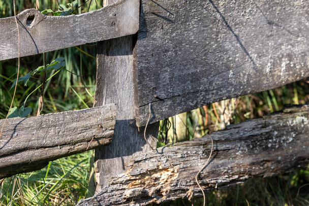 Дерев'яний паркан в природній обстановці - Фото, зображення