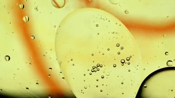 Реферат Красочные капли пищевого масла пузырьки и сферы, текущие по поверхности воды - Кадры, видео