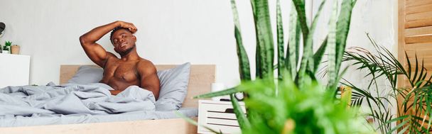 charismatische shirtloze Afrikaans-Amerikaanse man kijkt weg in de slaapkamer met groene potplanten, banner - Foto, afbeelding