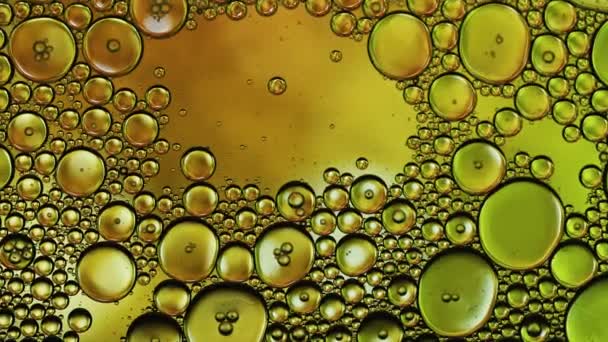 Αφηρημένη πολύχρωμο πετρέλαιο τροφίμων σταγόνες φυσαλίδες και σφαίρες ρέει στην επιφάνεια του νερού - Πλάνα, βίντεο