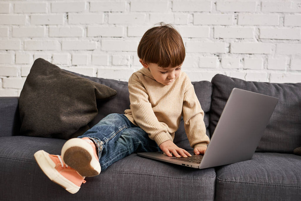 adorable cute toddler boy in cozy homewear sitting on sofa and looking at laptop attentively - Photo, Image