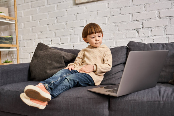 adorable cute little boy in cozy homewear sitting on sofa and looking at laptop attentively - Photo, Image