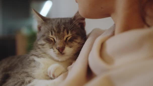Millennial vrolijke vrouw eigenaar zittend op gezellige bank holding, knuffelen schattige kleine huiskat huisdier vriend thuis. Jonge vrouw met haar schattige kat thuis - Video