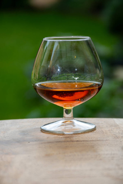 Dégustation en plein air de boissons alcoolisées fortes à base de cognac dans la région du Cognac, en Charente, avec un bouquet de raisins blancs ugni mûrs sur fond d'utilisation pour la distillation des spiritueux et l'herbe verte, France - Photo, image
