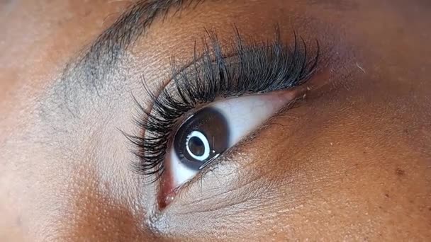 close up of eyelash extensions in beauty salon macro eye ,2d volume 3d volume,russian volume, classical style, remover,patches,lash technician,beautician,lashmaker,cat eye - Footage, Video