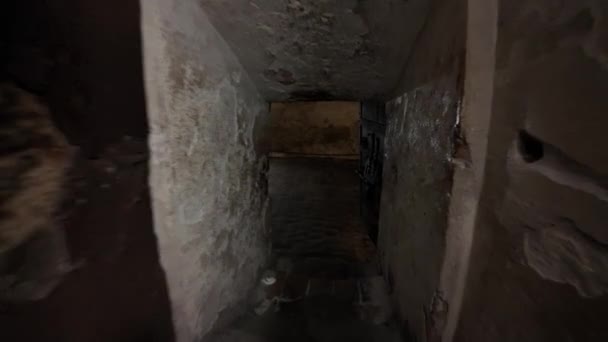 Onder Ferrara kasteel, waren er verborgen kerkers waar de meest verschrikkelijke geheimen van de familie Este werden bewaard. Gevangenen werden onderworpen aan wrede en onmenselijke behandelingen, sommigen zagen nooit meer daglicht. - Video