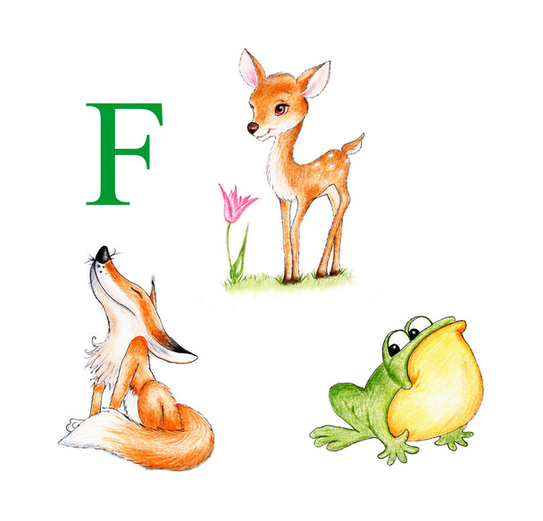 Lettre F, renard, grenouille. fauve, fleur
 - Photo, image
