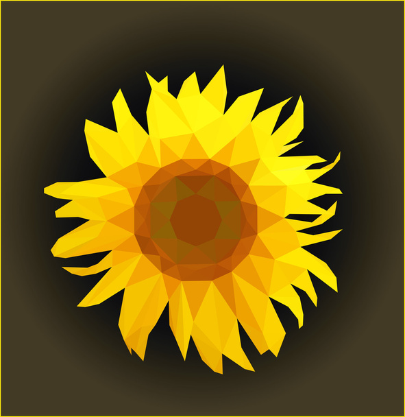 sunflower on dark gradient background - Vecteur, image