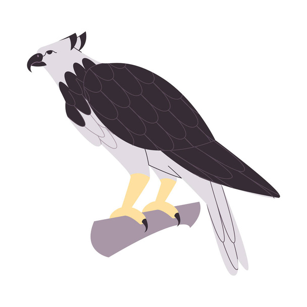 μαύρο και άσπρο χρώμα harpy αετός άγρια φύση κυνηγός πουλιών αρπακτικό σαρκοφάγος ισχυρό φορέα ζώο - Διάνυσμα, εικόνα