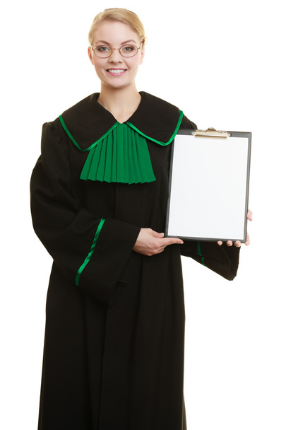 lawyer holding  clipboard - 写真・画像