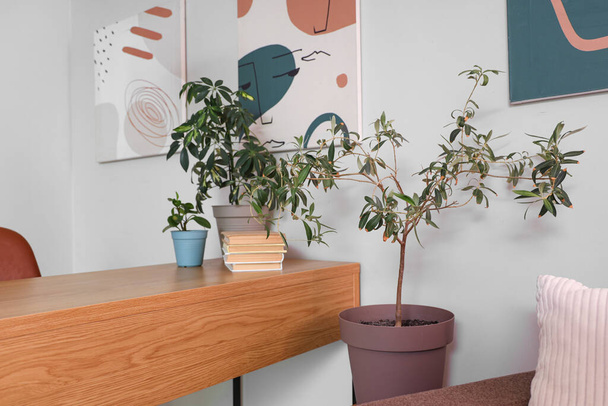 Milieu de travail avec plantes et livres dans la chambre - Photo, image