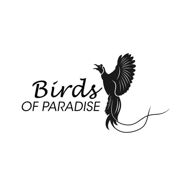 дизайн логотипа райской птицы - Вектор,изображение