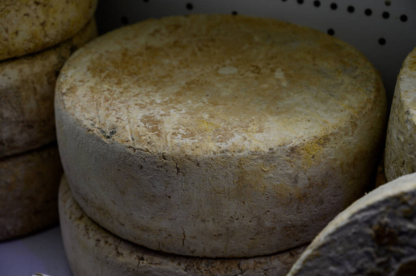 Différents fromages asturiens à base de fonte de vache, de chèvre et de mouton exposés dans une fromagerie paysanne, Asturies, Espagne du Nord, gros plan - Photo, image
