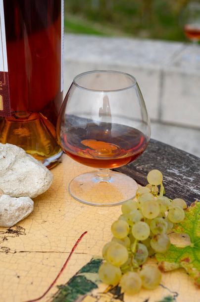 Degustación de bebida alcohólica fuerte Cognac en la región de Cognac, Grand Champagne, Charente con hileras de uva ugni blanc madura lista para cosechar sobre los usos de fondo para la destilación de licores, Francia - Foto, imagen