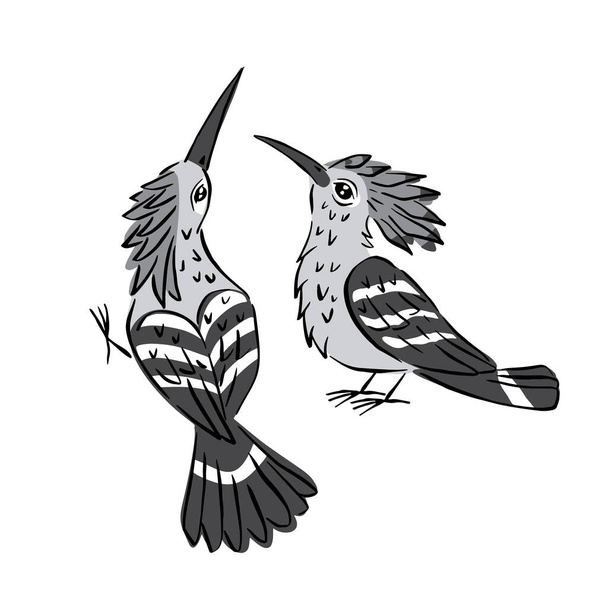 Linea arte illustrazione colorata di uccelli carino upupa isolato su sfondo bianco - Vettoriali, immagini
