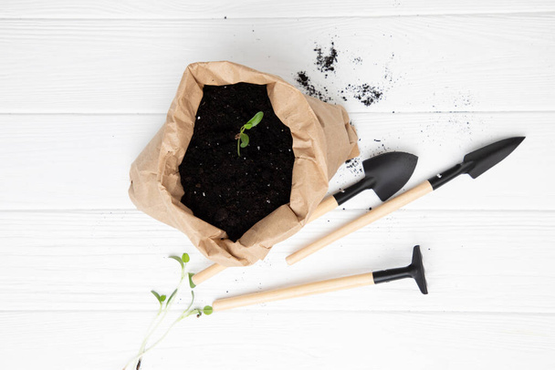 Konzept der Gartenarbeit. Pflanzung von Gemüsepflanzen. Eine kleine grüne Pflanze in einer braunen Papiertüte mit Erde und Gartengeräten auf weißem Hintergrund. Flache Lage - Foto, Bild