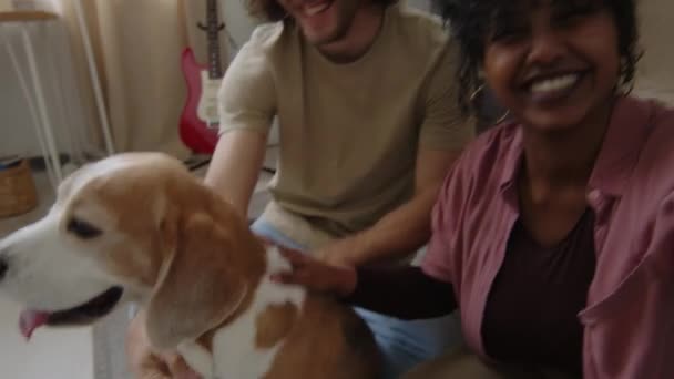Handheld POV der jungen attraktiven birassischen Frau, die Vlog mit ihrem kaukasischen Freund und ihrem niedlichen Beagle-Hund aufnimmt, der zu Hause zusammen Spaß hat - Filmmaterial, Video
