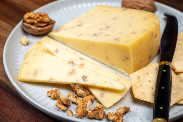 Stuk Nederlandse Gouda kaas gemaakt van koemelk met toegevoegde walnoten close-up, kaas proeven op boerderij - Foto, afbeelding