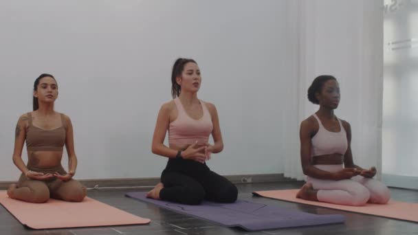 フィットネススタジオでストレッチクラスに出席しながら呼吸練習をしている3人の多様な女性の広いショット - 映像、動画