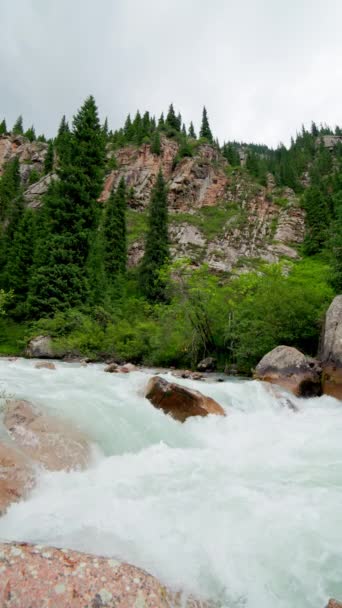 río desfiladero de montaña en el día de verano en cámara lenta, vídeo vertical. - Imágenes, Vídeo