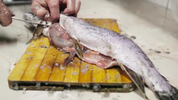 woman removing scale from luce fish with small knife on wooden board at kitchen. - Footage, Video