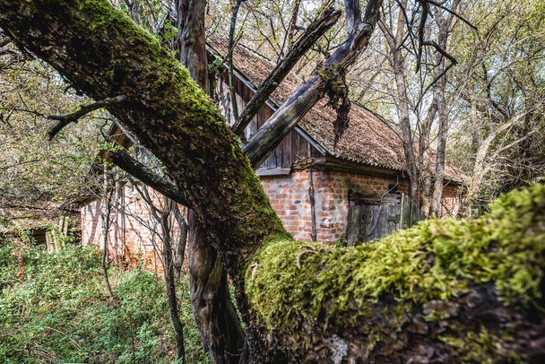 Budynek gospodarczy opuszczonej wsi Stechanka w strefie wyłączonej Czarnobyla, Ukraina - Zdjęcie, obraz