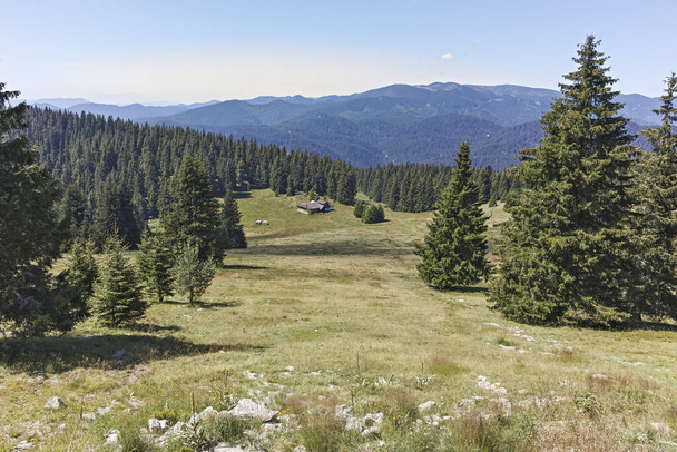 Καλοκαιρινό τοπίο στα βουνά της Ροδόπης κοντά στην κορυφή Snezhanka, Smolyan Region, Βουλγαρία - Φωτογραφία, εικόνα